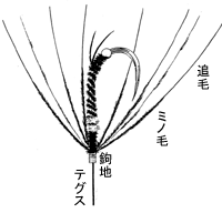 H14